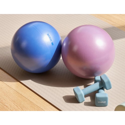 스포틀러  미니 짐볼 25cm