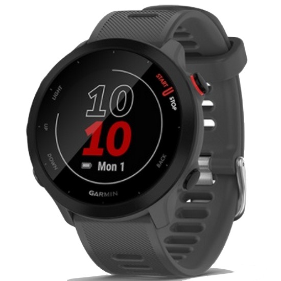 가민  포러너 55