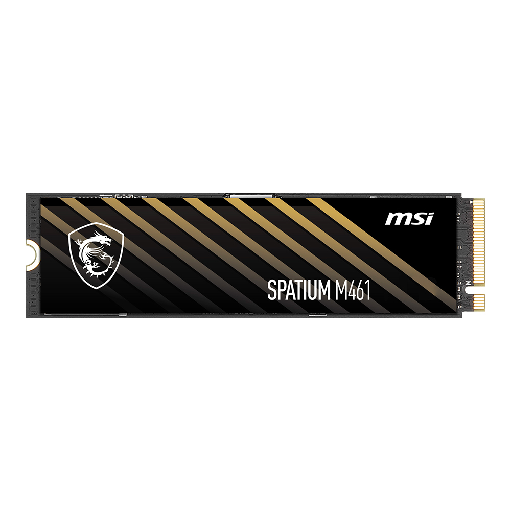 MSI SPATIUM M461 M.2 NVMe [1TB]