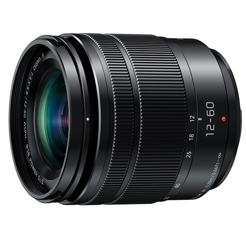 파나소닉 루믹스 G VARIO 12-60mm F3.5-5.6 ASPH POWER OIS
