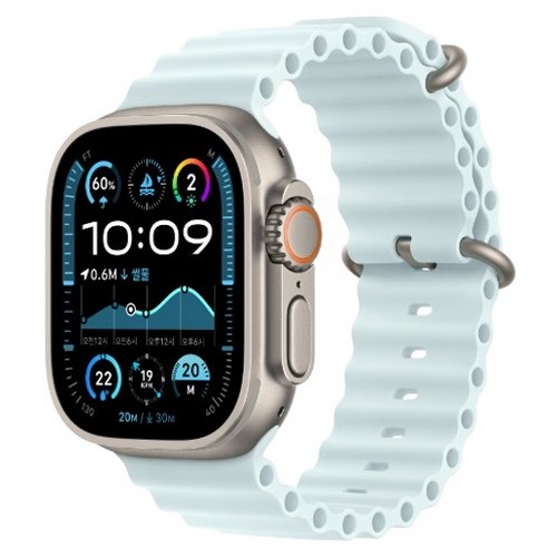 Apple  워치 울트라2 49mm Cellular 내추럴 티타늄