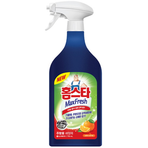 홈스타 주방용 세정제 750ml