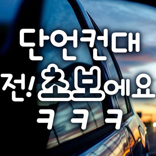 제제데코  단언컨대 전 초보에요 초보운전 스티커