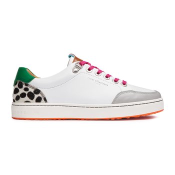 로얄알바트로스  필드폭스 달마티안