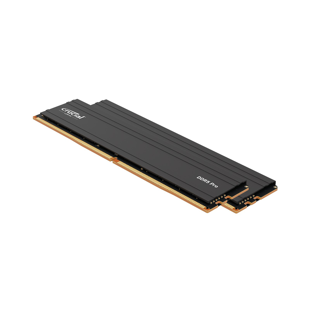 마이크론 Crucial DDR5-5600 CL46 PRO 패키지 대원씨티에스