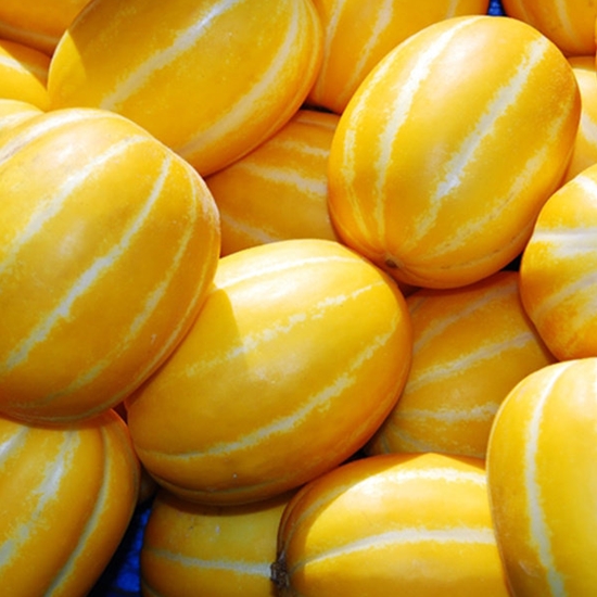 참다올  참외농장 향기나는 성주참외 8~15개(과) 3kg