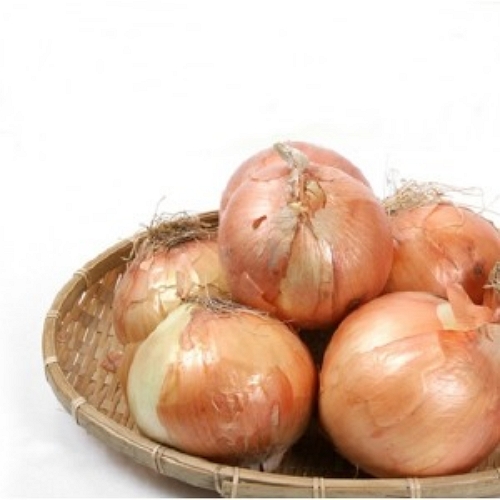 아빠의 마음 양파 상품 5kg