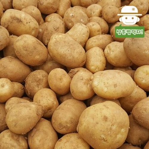 삼촌농장 하우스 수미감자 특 5kg