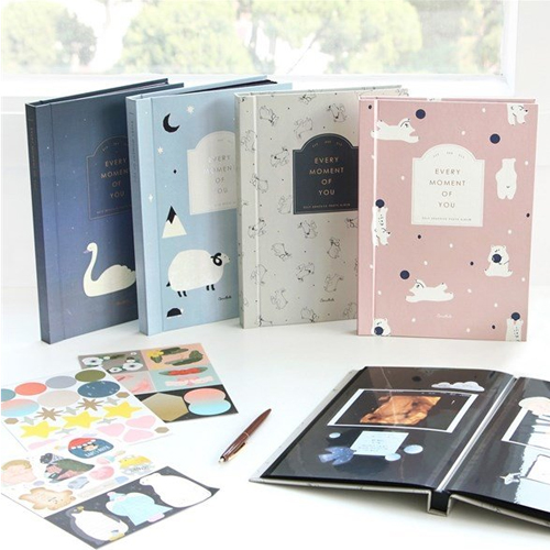 아이코닉  코니테일 초음파앨범