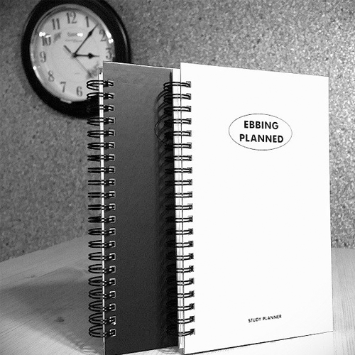 에빙플랜드 스터디플래너 스프링 100DAYS