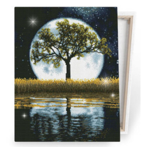 아이러브페인팅  DIY 캔버스형 보석십자수 고요한 밤의호수