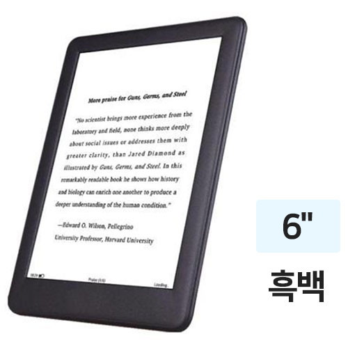 BOYUE  LIKEBOOK P6 해외구매