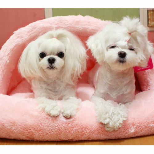 아페토 럭셔리 포켓 방석