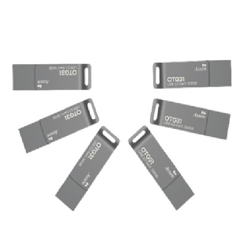 액센 OTG31 가디언