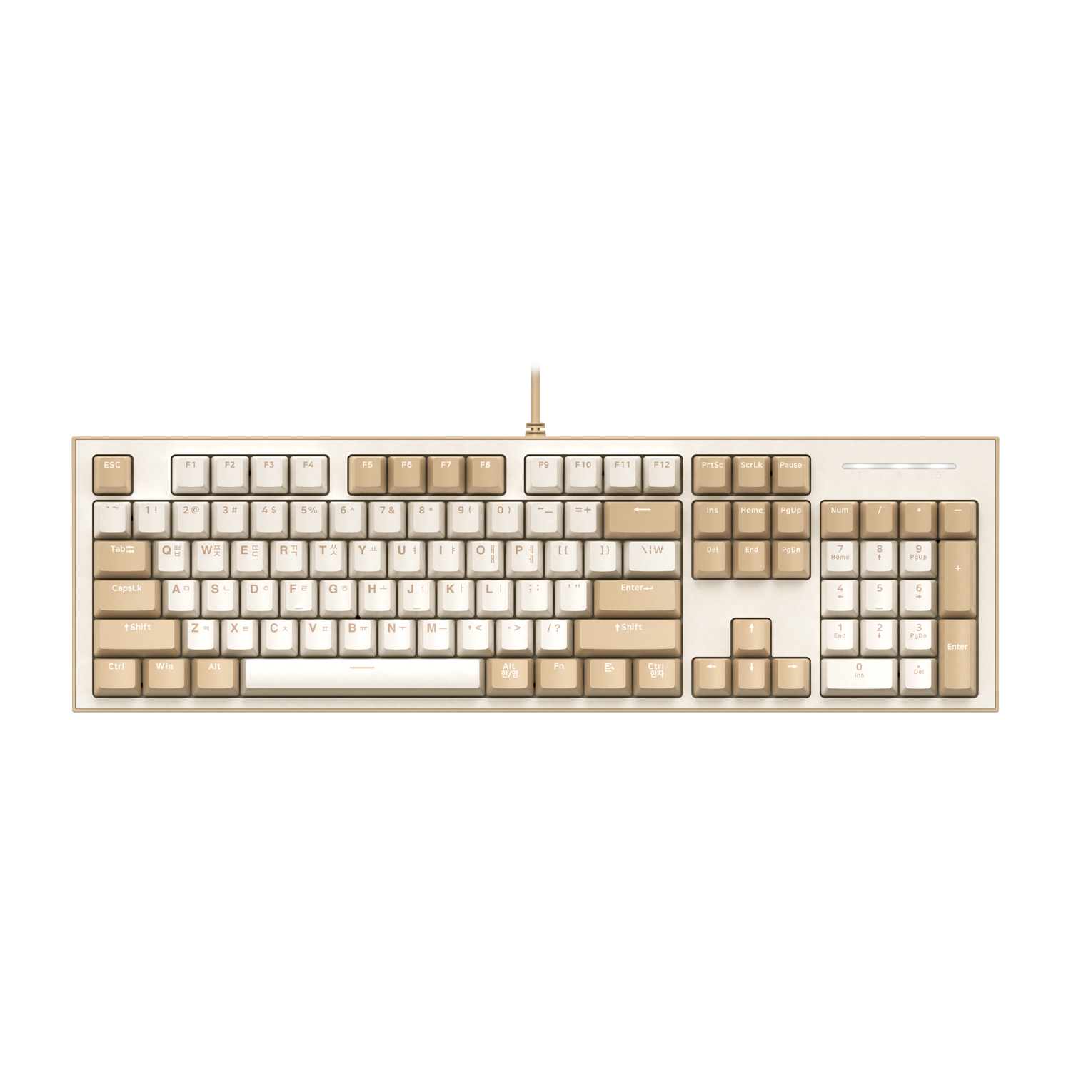 COX  CK01 SAHARA HUANO 퀵스압 게이밍 기계식