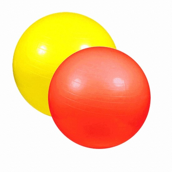 다이어트 짐닉볼 65cm