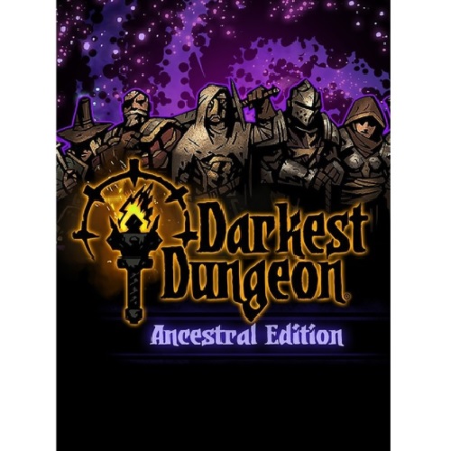 레드 훅 스튜디오  다키스트 던전 PC