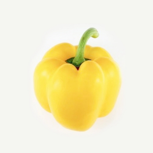 어글리베지 못난이 파프리카 노랑 1kg