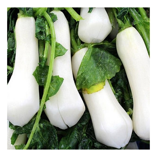 전라김치  절임 알타리무 5kg