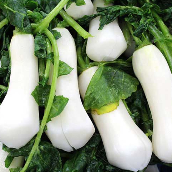 참다올  김치특구광주김치 절임 알타리무 5kg