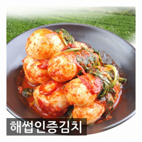 푸드뱅크  가정식 총각김치 2kg