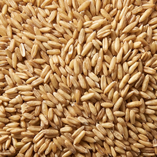 현대농산  귀리 2kg