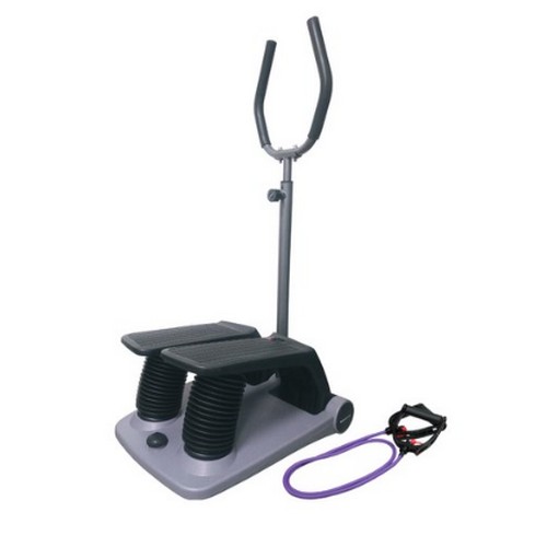 바디스터  펌프맥스 프로