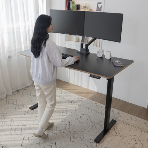 카멜마운트 핏쳐 E1 PLUS 높이조절 모션 스탠딩 책상