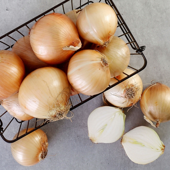 다농이네  무안 양파 중 5kg