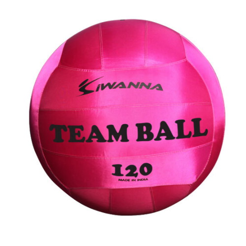 코리아스포츠  아이워너 팀볼 120cm
