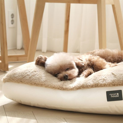 초코펫하우스 스노우 모찌 방석