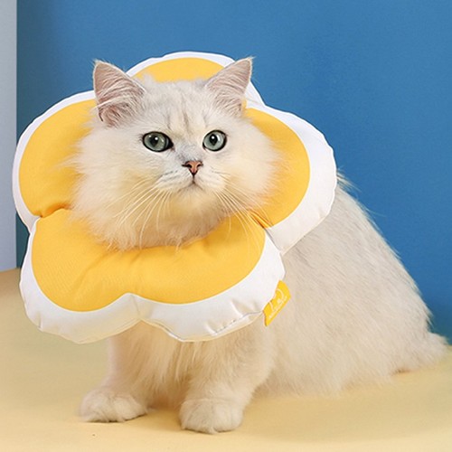 힐링타임 키티요요 넥카라 옐로우