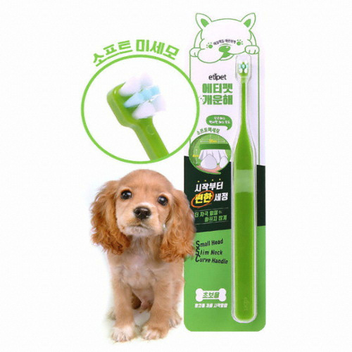 에티펫 개운해 시작부터 칫솔 초보용