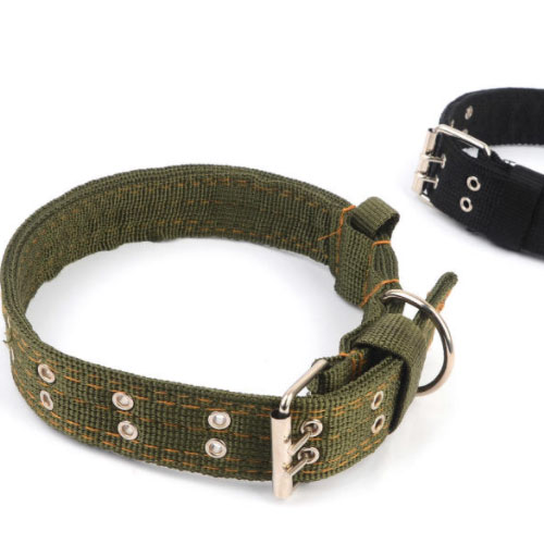 대형견용 벨트타입 애견 목줄