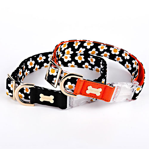 노라독 데이지 목줄