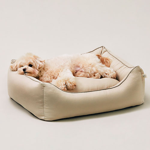 아르르 꿀잠방석 V3