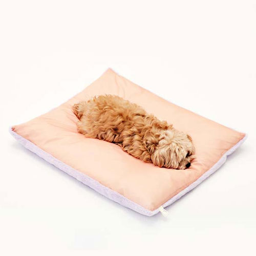 아르르 꿀잠이불