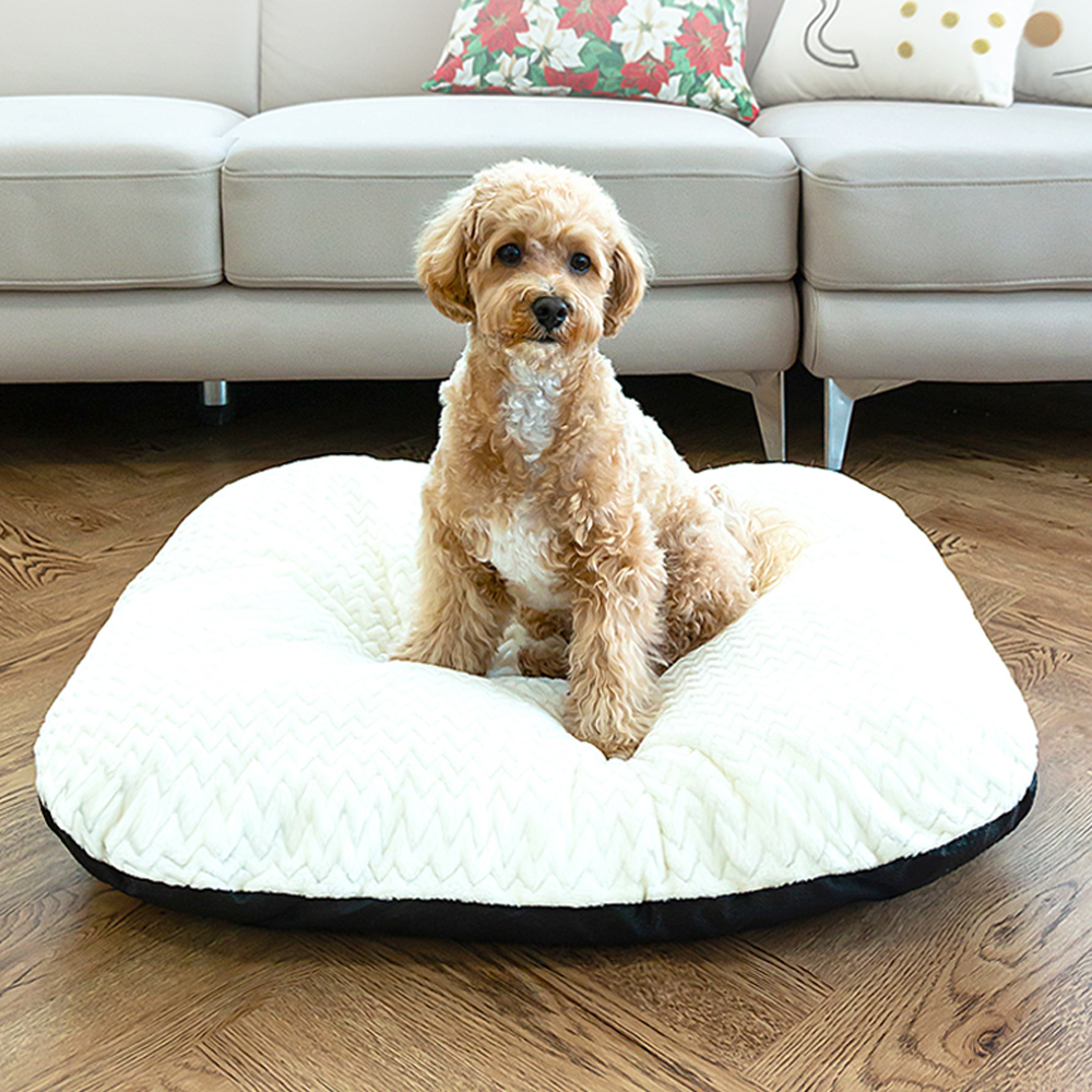 레토 무중력 쿠션방석 대형 LDC-R03