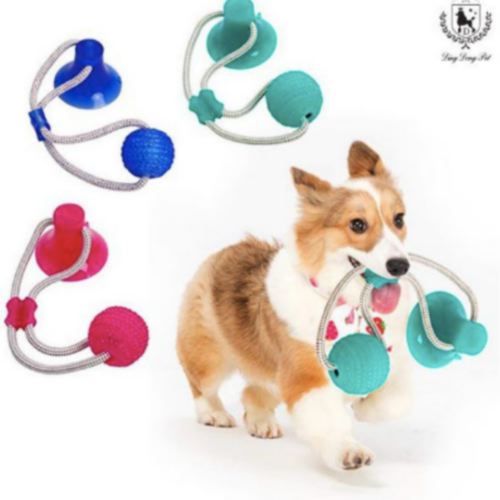 딩동펫 흡착형 셀프터그