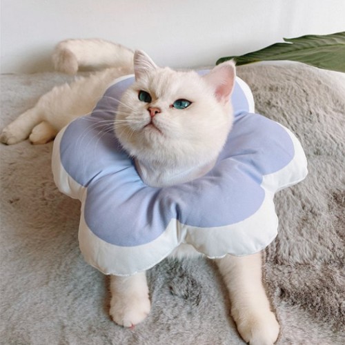힐링타임 키티요요 넥카라 블루