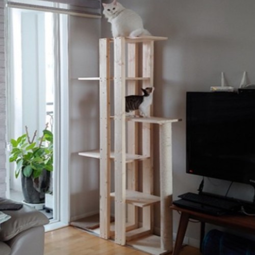 뚱뚱이들을 위한 튼튼 원목 캣타워DIY