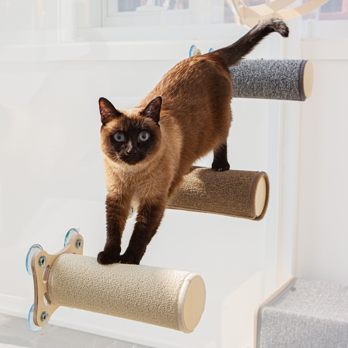 모넬로 디디냥 미니 캣워커 GO23010