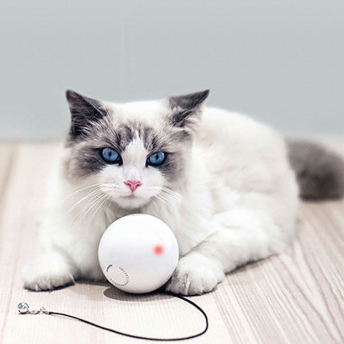 펫케어 스마트캣볼 움직이는 고양이 공 자동장난감