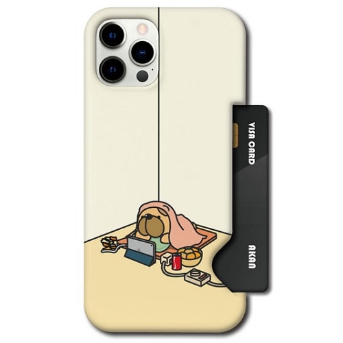 아칸  아이폰11 프로 맥스 데이빗 겨울의맛 인서트 케이스