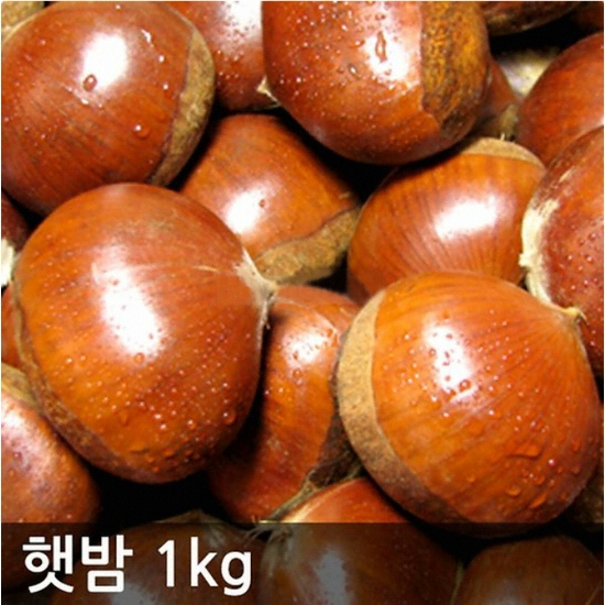 하양마트  햇밤 대 1kg