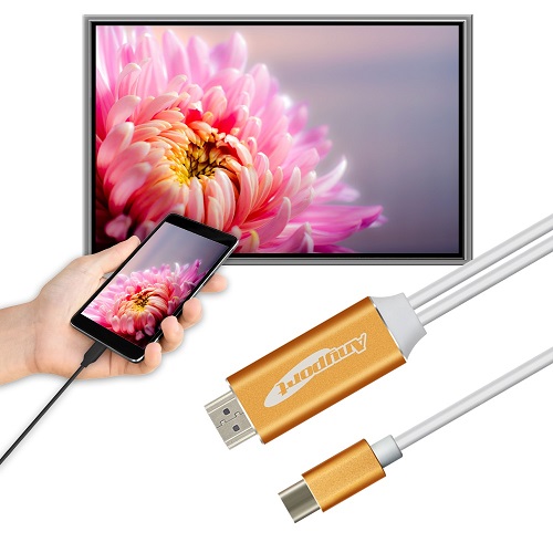 엘디네트웍스 Anyport C to HDMI 미러링 케이블 (AP-MW4K PLUS)