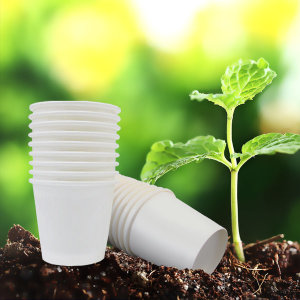 교림크린텍  종이소주컵 2.5온스