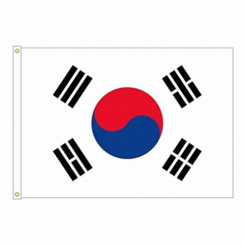 완창국기사  태극기 100x150