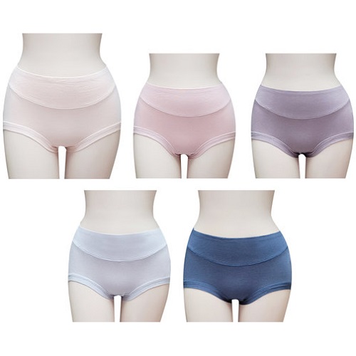 물랑루즈 그레이트 맥시 팬티 5매입 MWP567
