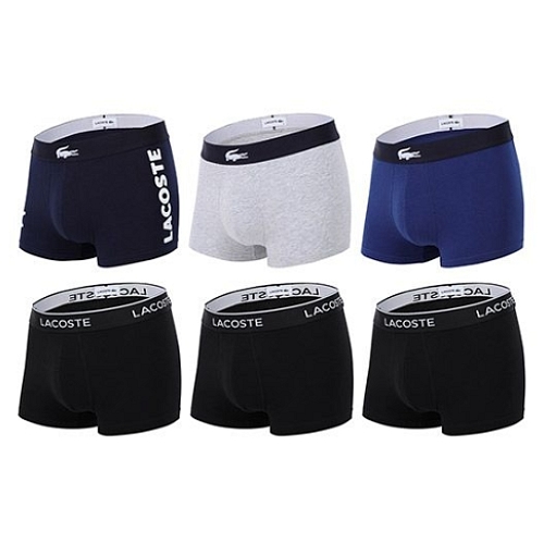 라코스테 4차 로고 포인트 아웃밴드 에디션 드로즈 패키지